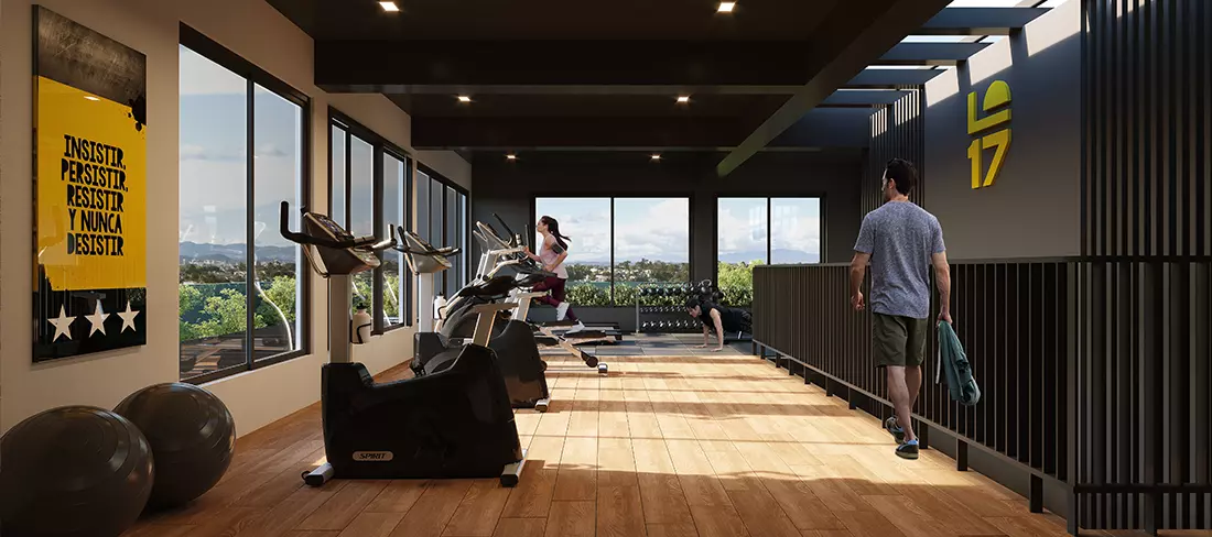 Gimnasio Lares 17